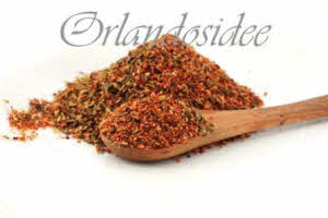 Cajun BBQ Rub  Orlandosidee® Mix di spezie